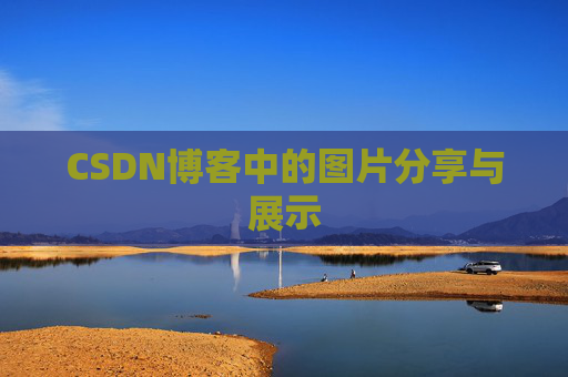 CSDN博客中的图片分享与展示